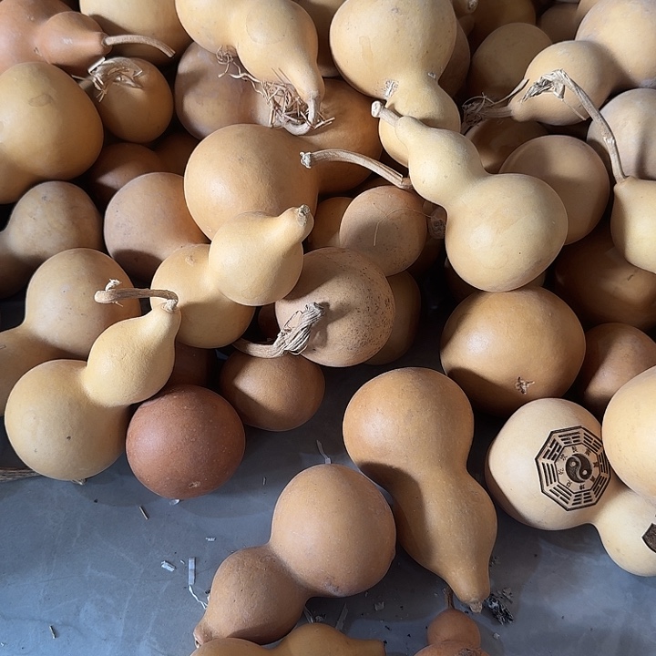 阿***缘舞蹈等多种艺术元素