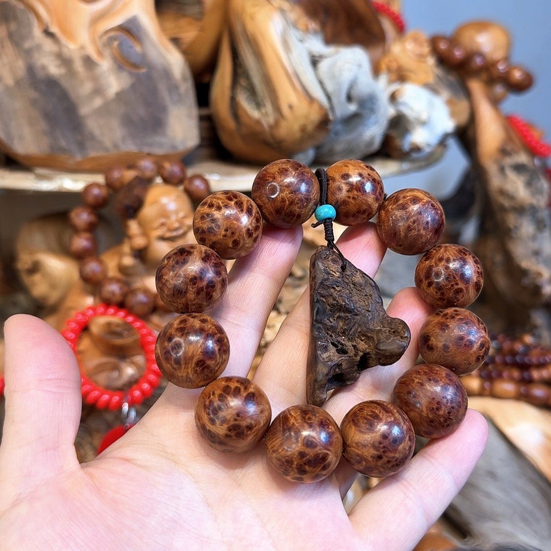 柏木（崖柏）66666666