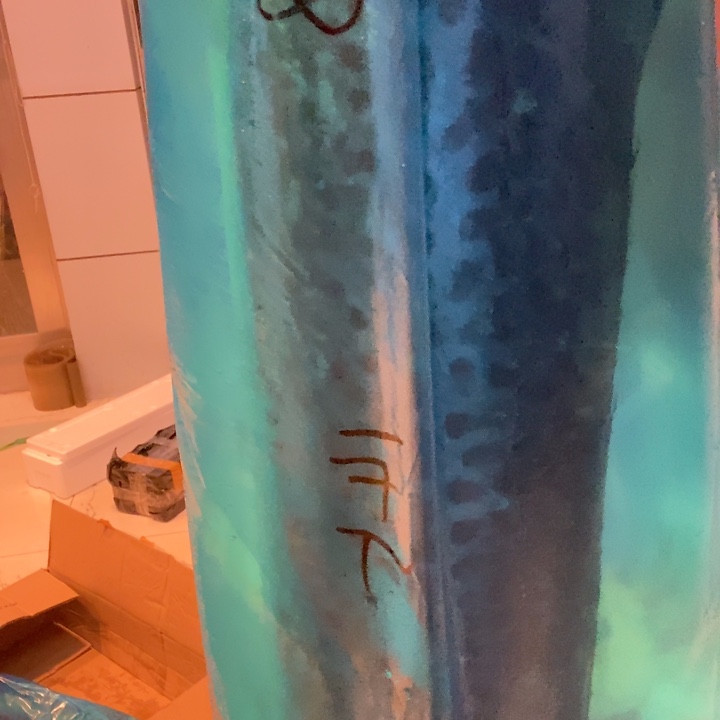 中国大陆渤海湾野生燕鲅鱼58号