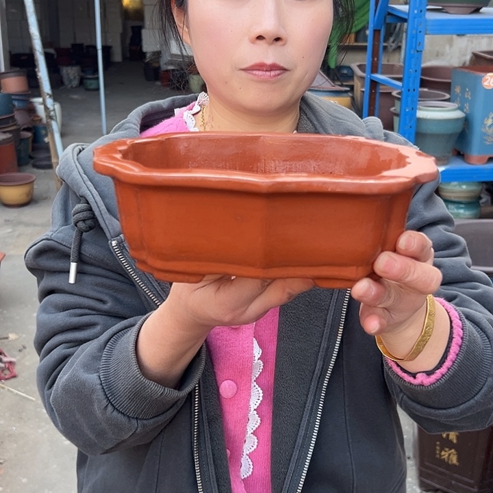 22红莲花花盆花盆花盆花盆