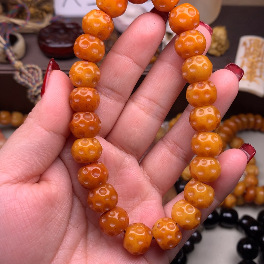 驼骨其他好看驼骨