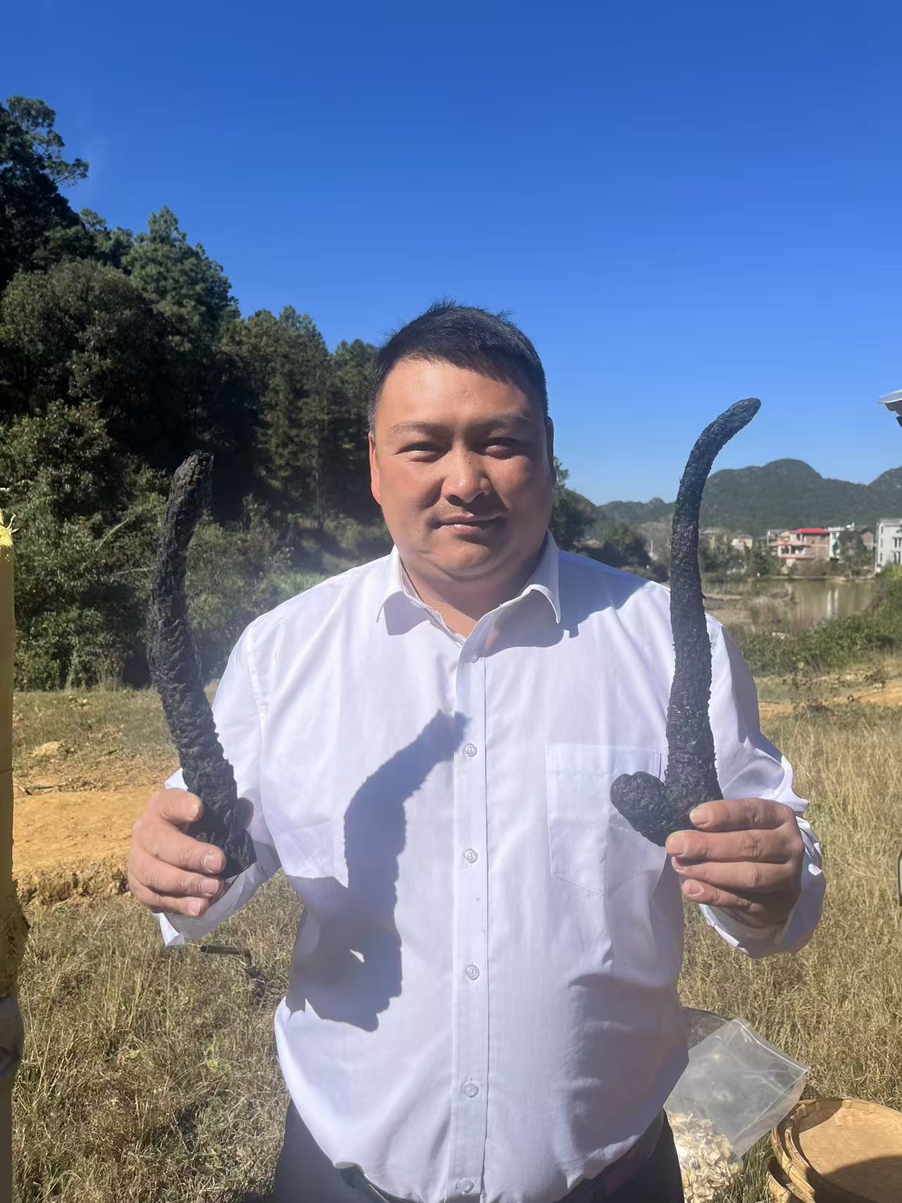 阿拉善特产 苁蓉 下山货