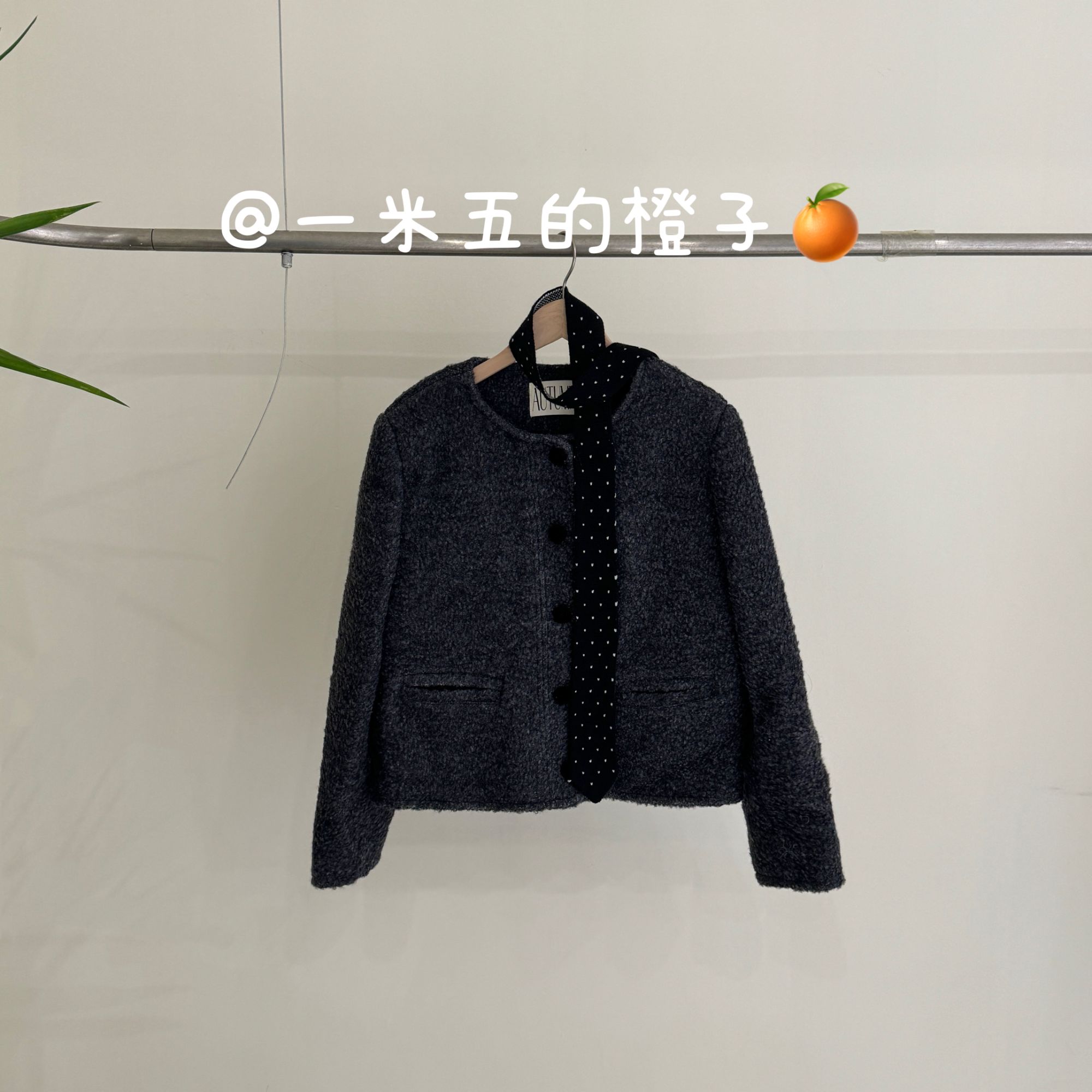 【小泰迪】冬季圆领小香风短款极简颗粒绒外套A1132