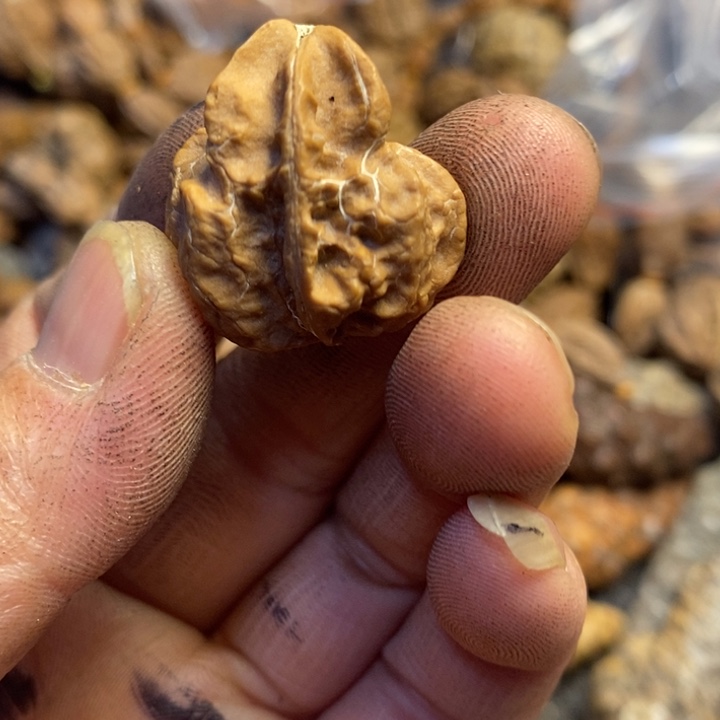 文玩核桃吊坠东北特产113