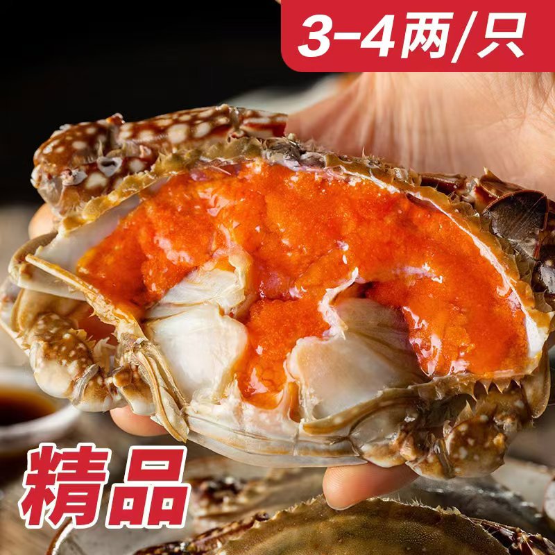 舟山精品飞机红膏呛蟹3-4两左右/只活蟹腌制开袋即食