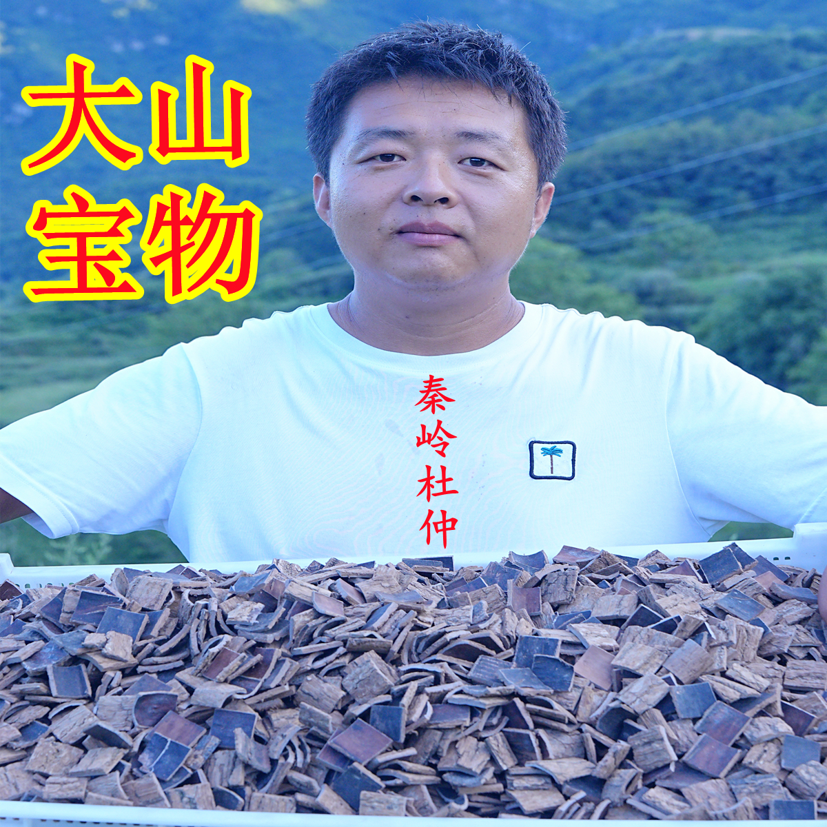 秦岭老树龄杜仲厚肉拉丝杜肿去粗皮杜仲皮树皮泡茶煮水煲汤料新货