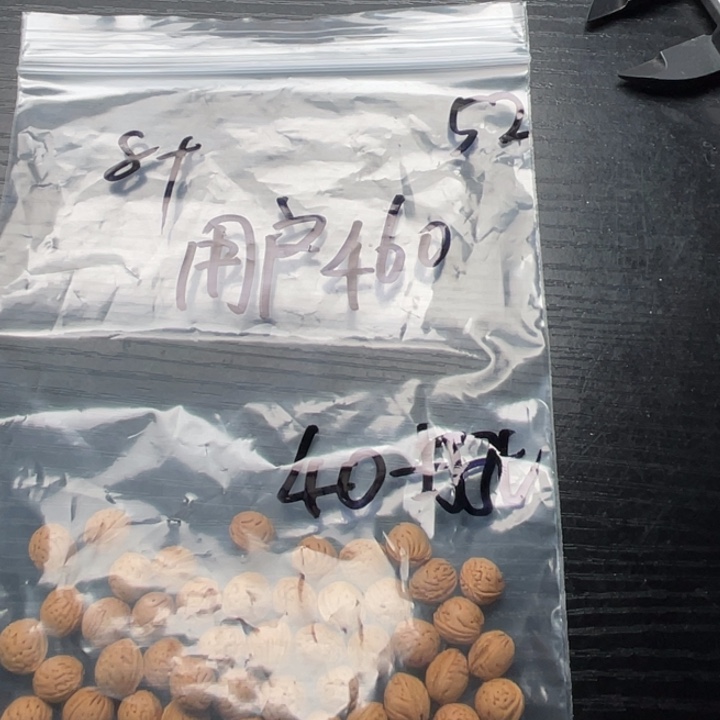 用***6手串/手链核桃私人定制不退不换40