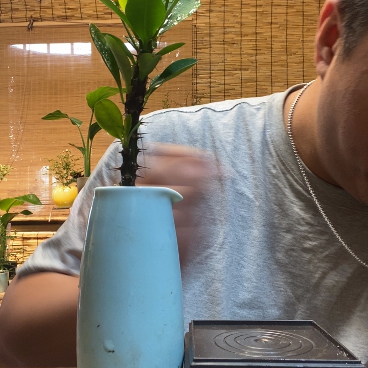 一物一拍所见即所得303