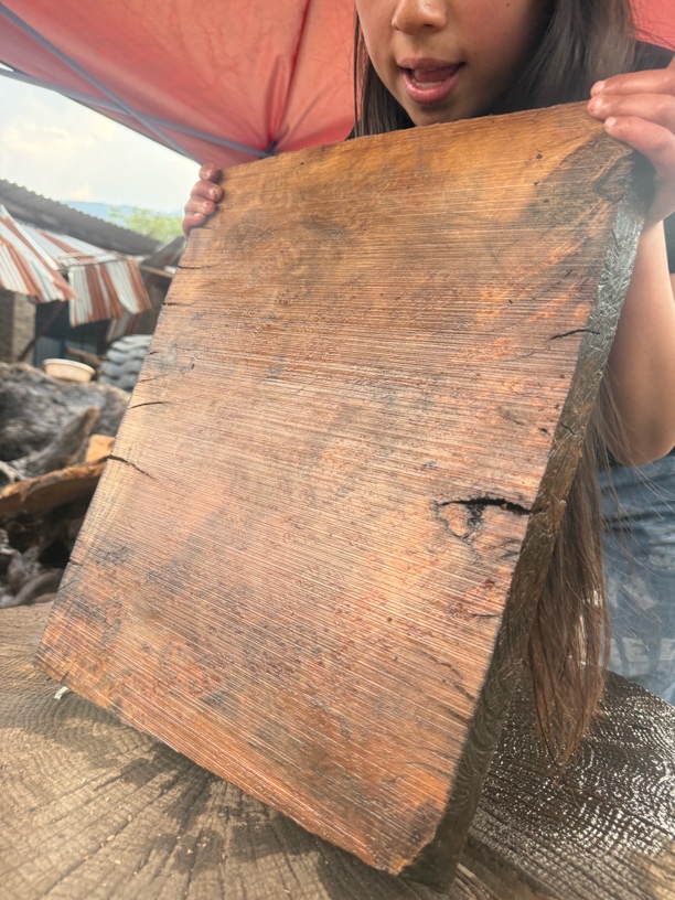 民间使用风化木漂流木