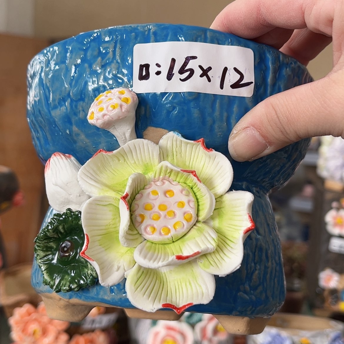【闪购商品】红陶福利