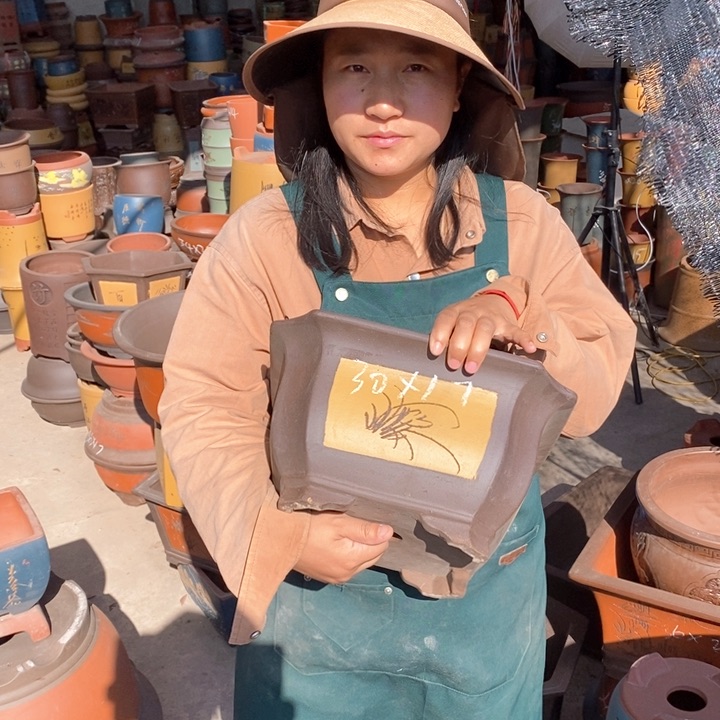 紫砂花盆盆栽花卉苗木种植