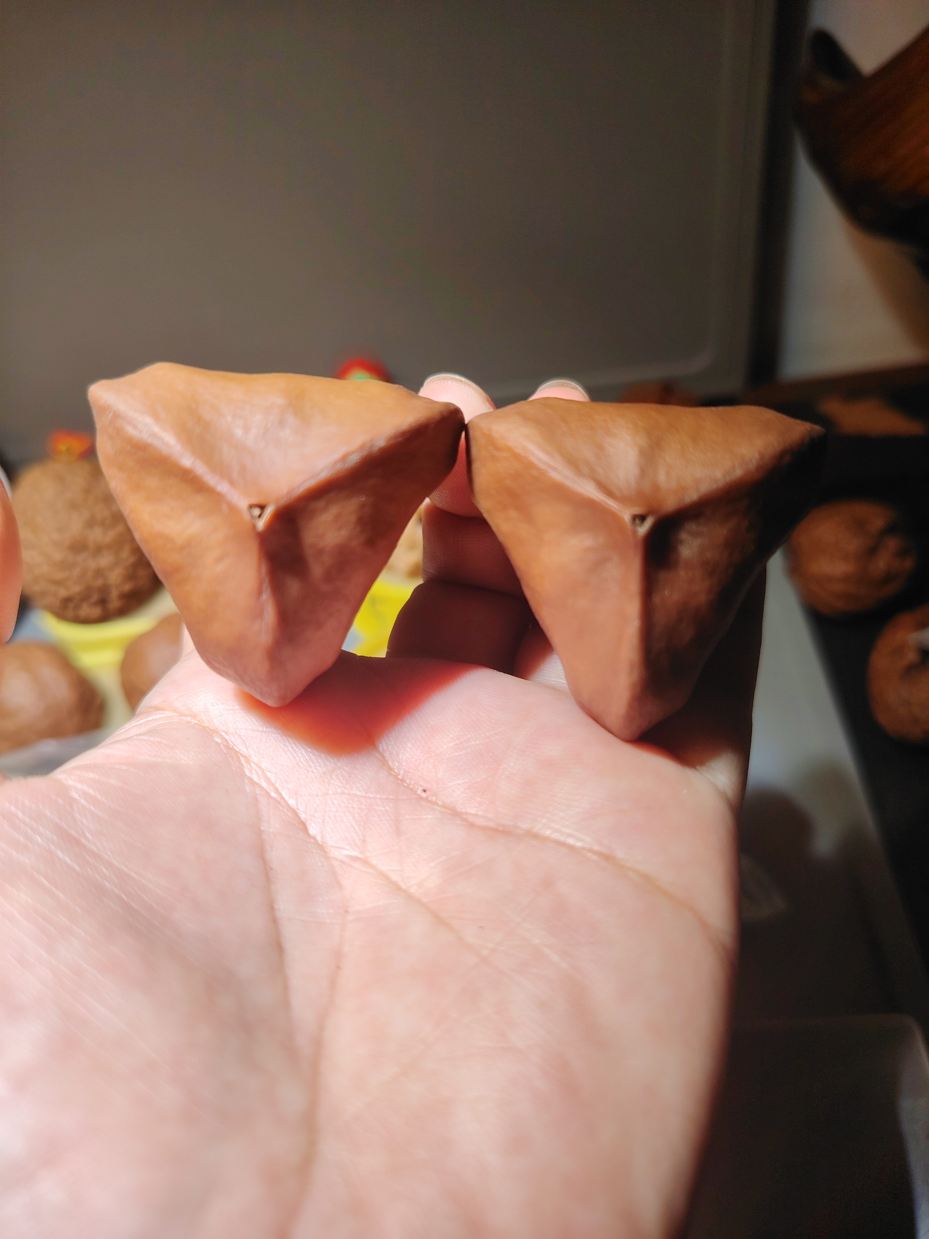 异形三角大橄榄核