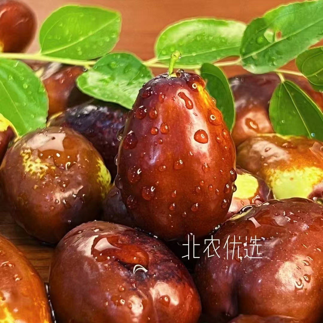 灵武长枣鲜枣新鲜1斤/2斤/3斤/5斤爽口脆甜枣礼盒装顺丰生鲜包邮