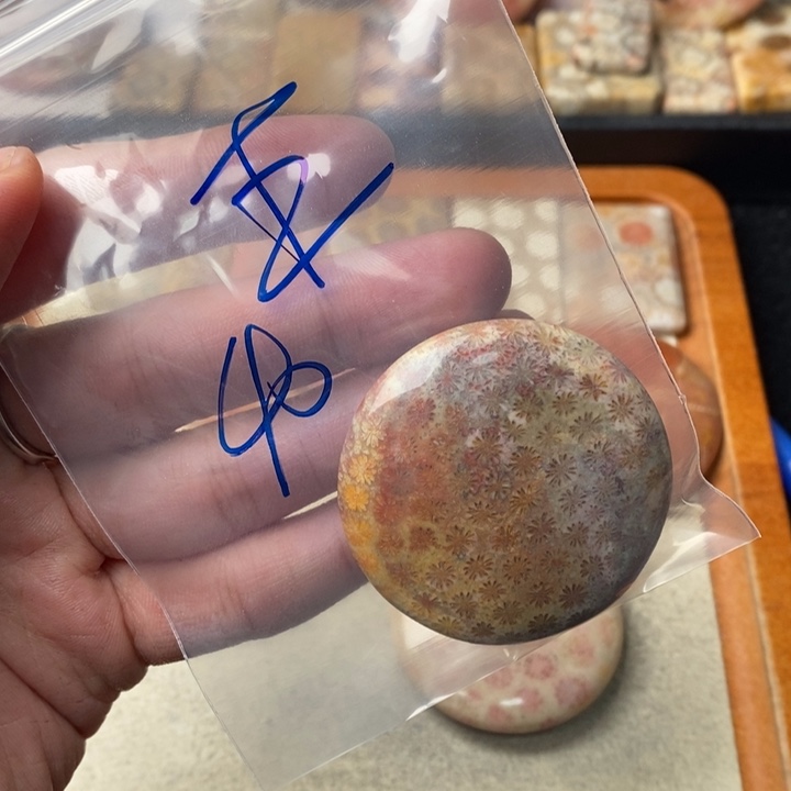 硅化玉颈饰未镶嵌王