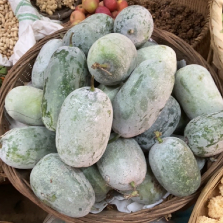云南高山露天老品种小冬瓜