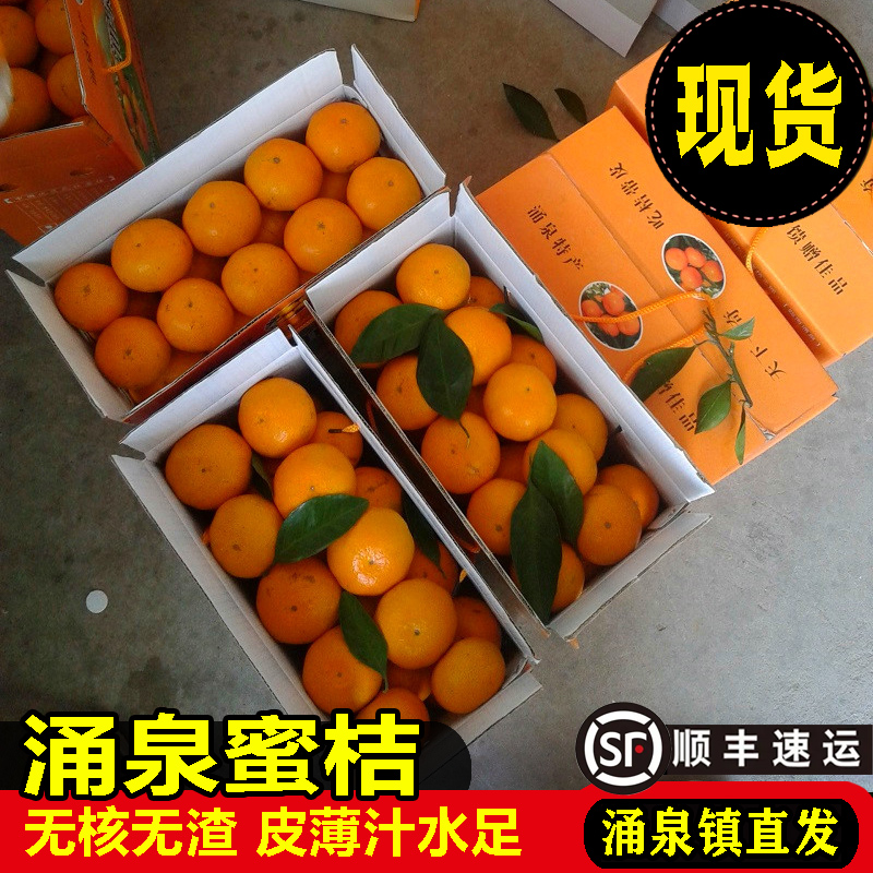 临海涌泉蜜桔新鲜橘子高山当季水果黄蜜橘整箱现摘浙江台州特早