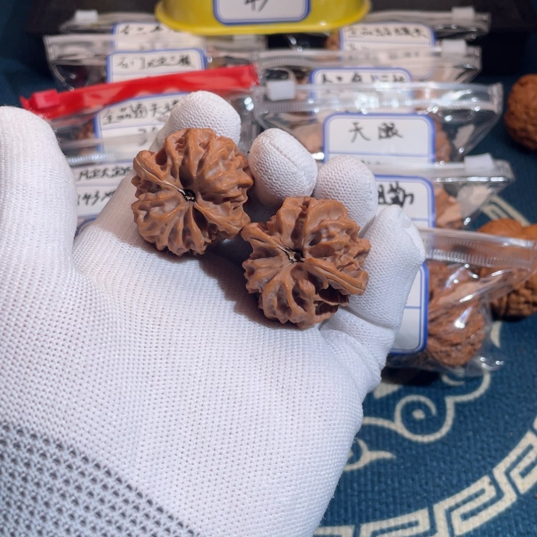 D****o35全品大龙！！！！！！！！！