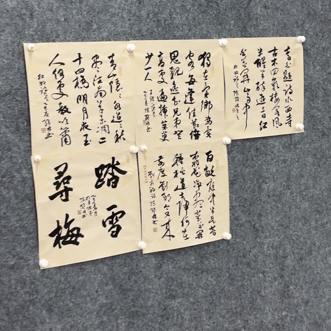 书法书法作品CJL老师