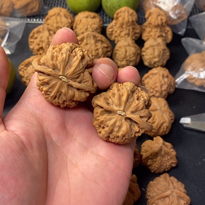 A***。把件桃核35544455