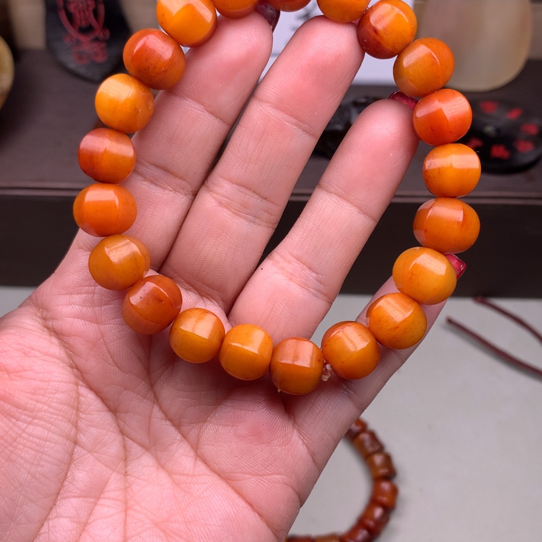 牛骨其他好看牛骨