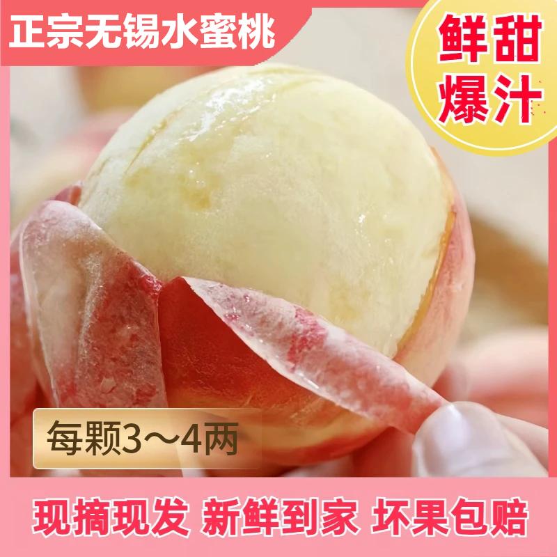 【无锡正宗水蜜桃】12颗3-4俩皮薄多汁行走的榨汁机夏日尝鲜香甜爆江苏省