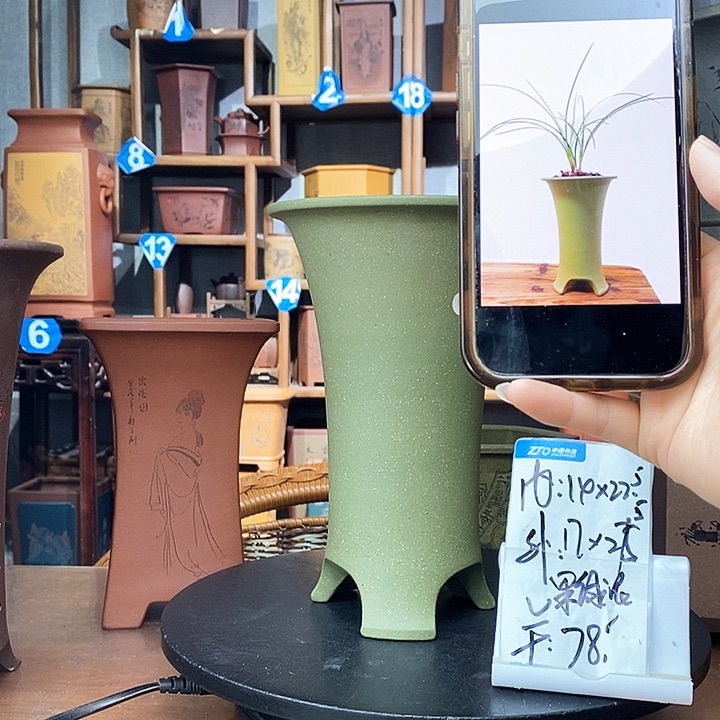 紫砂果绿泥爆款只要78