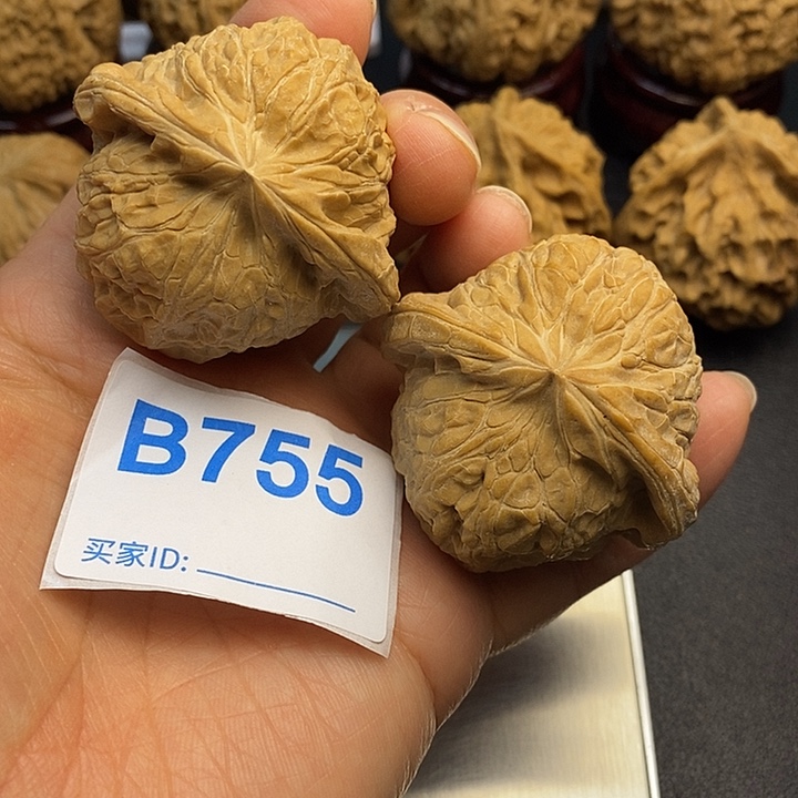 核桃南瓜4.6，肚子4.5，克重55
