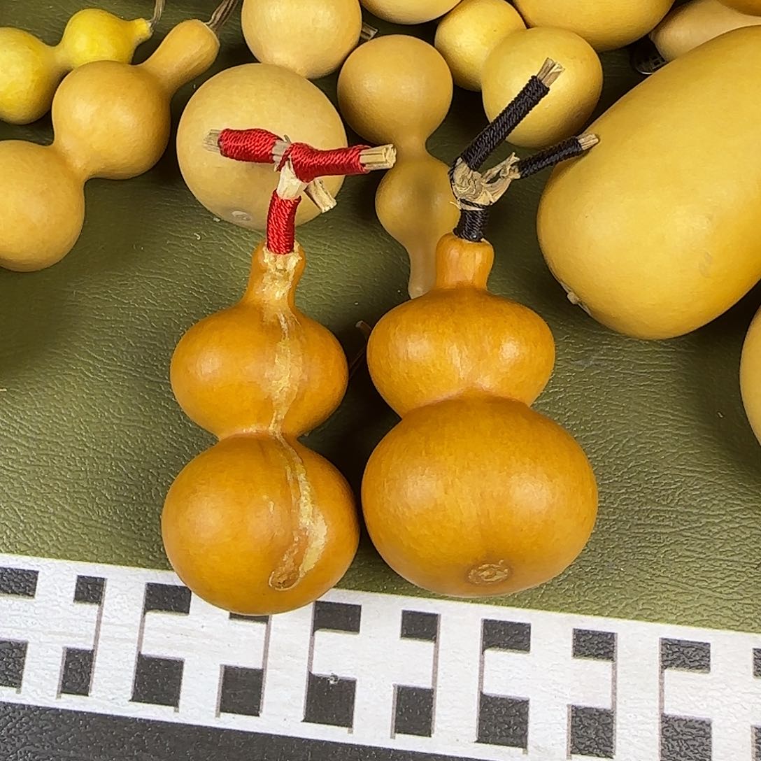 雅**芦wjsnsnsnsnsnsnsn