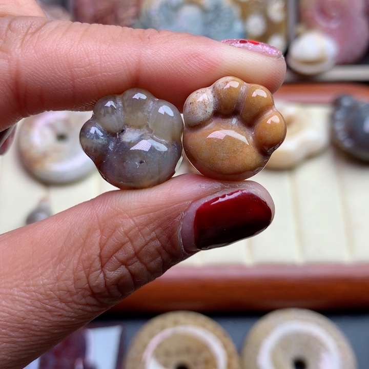 硅化珊瑚（珊瑚玉）颈饰未镶嵌