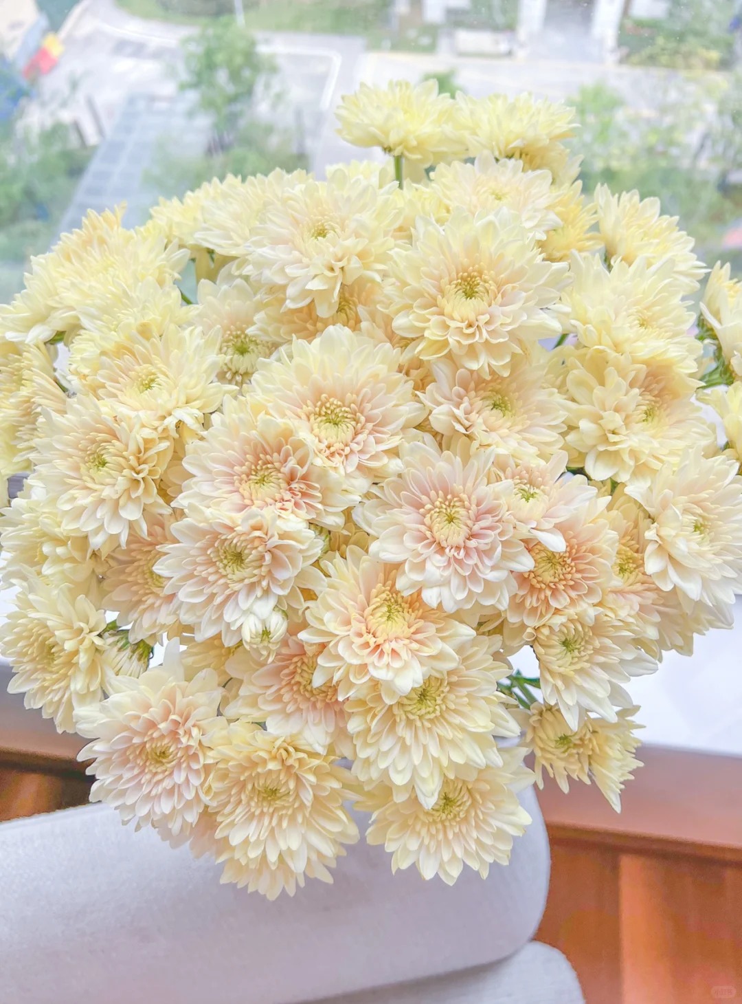 香草沙拉三文鱼小雏菊--收到第一时间醒花