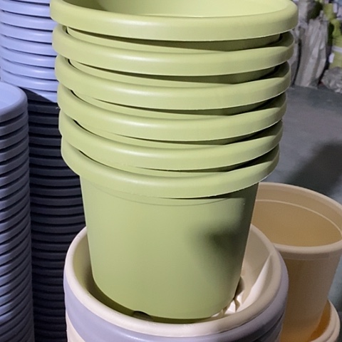 树脂四季3号10个无托果绿