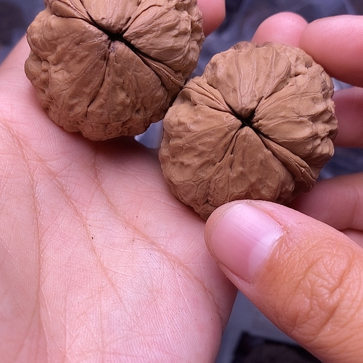 把件文玩核桃   24