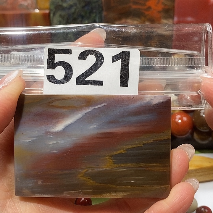 硅化玉未镶嵌天然北票树化玉吊坠