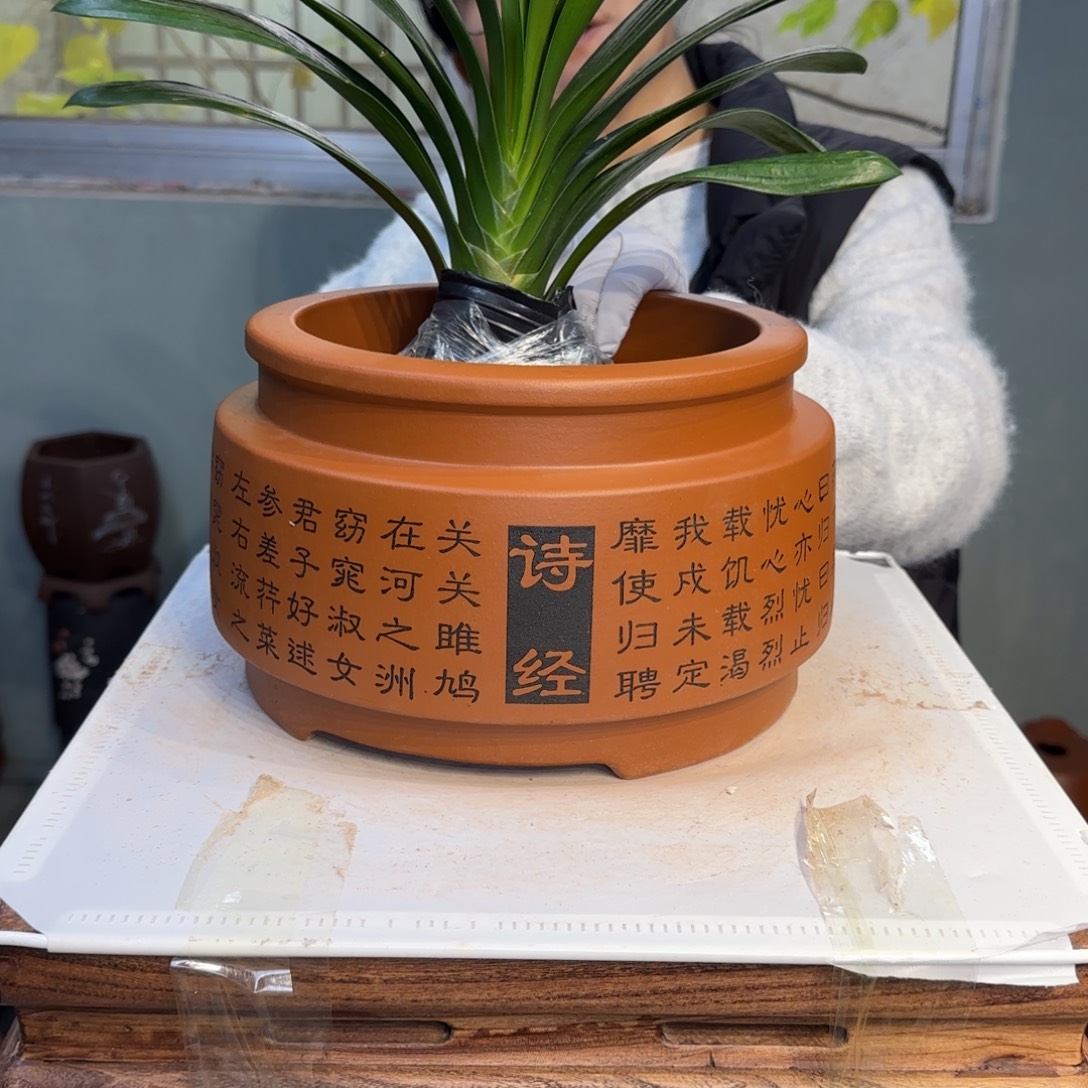 紫砂花盆产品尺寸22