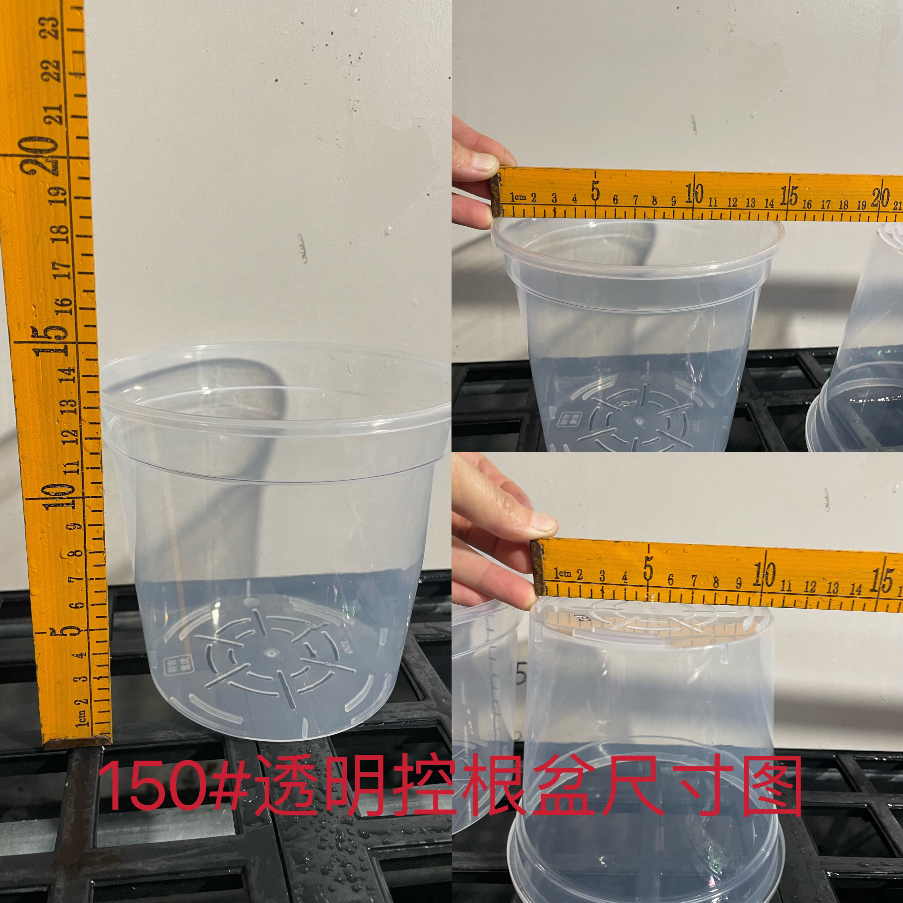蝴蝶兰新款养护透明养护盆（赠品如图）透明花盆蝴蝶兰花盆园艺用品