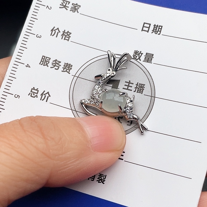 翡翠颈饰未镶嵌H****✿