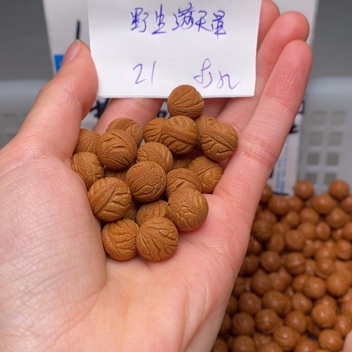 鑫****手串桃核11mm左右野生满天星21颗（打孔）