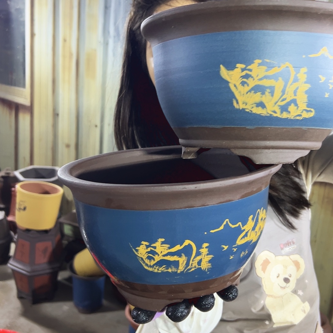 25+25蓝色三角金钟花盆