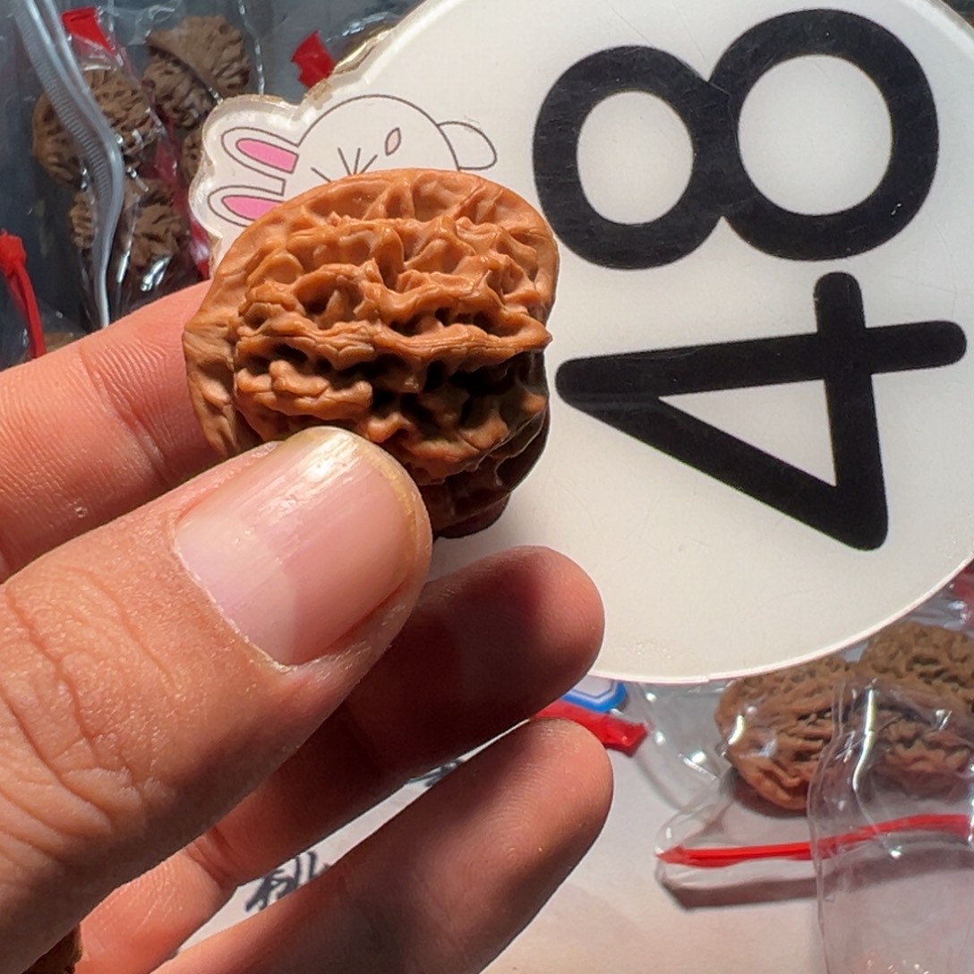 核***文玩核桃，白色48号