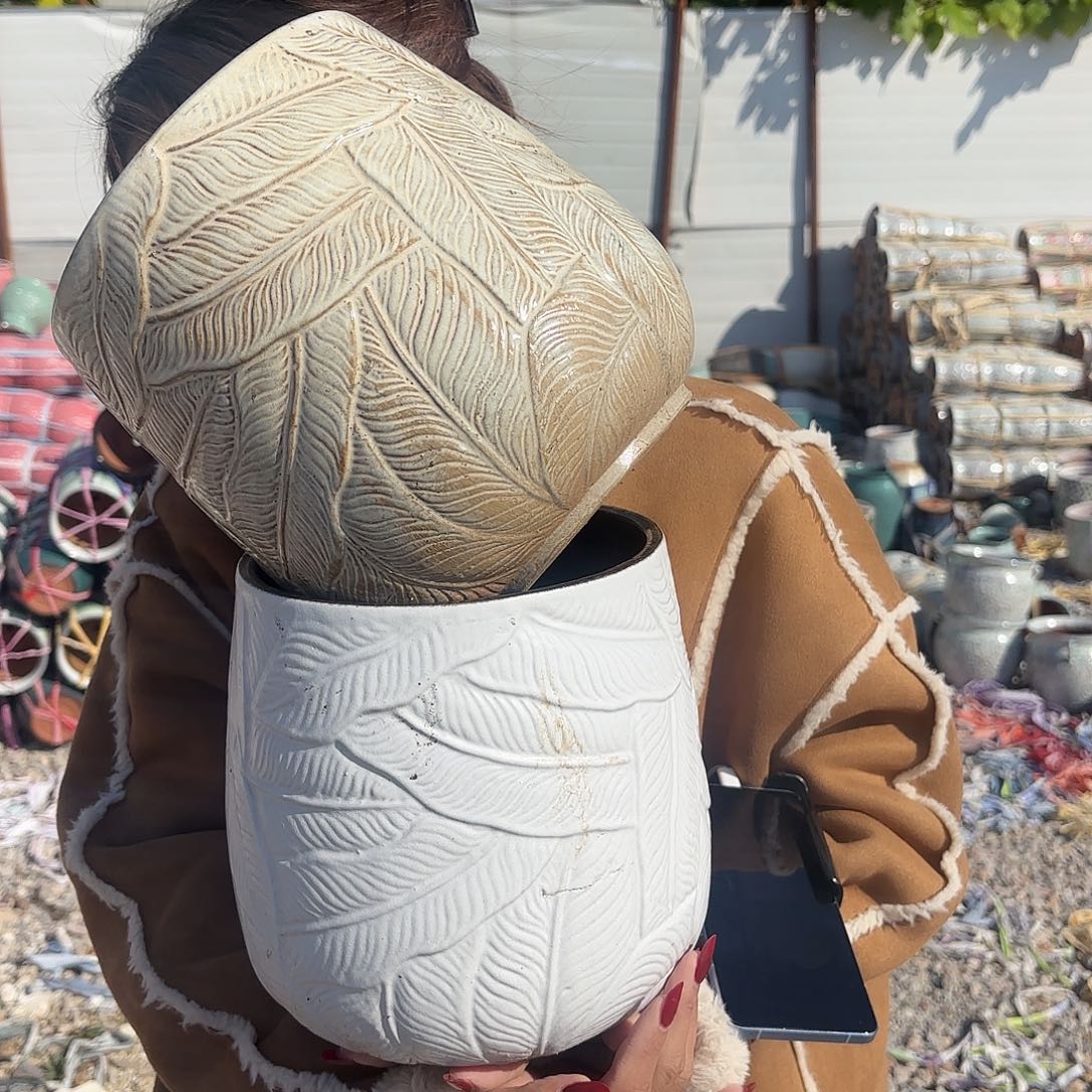 口径18高度21两个色芭蕉叶