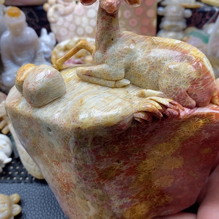 硅化珊瑚（珊瑚玉）颈饰未镶嵌