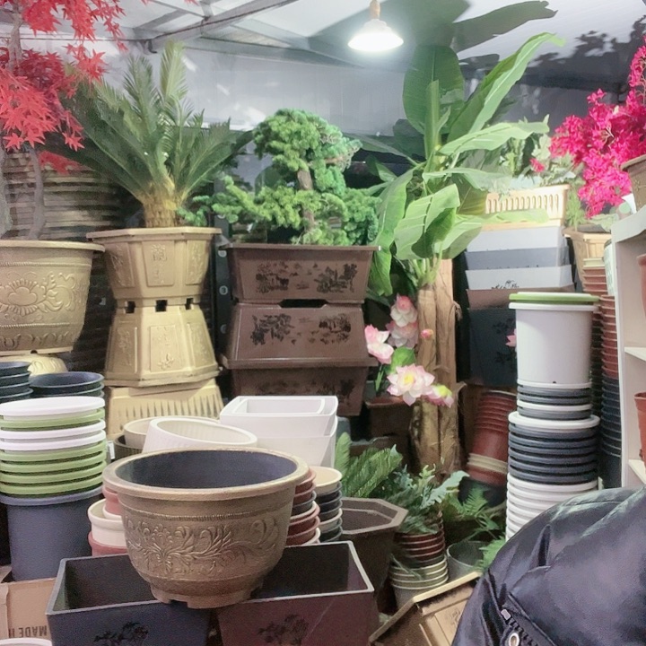 复合盆景589995596