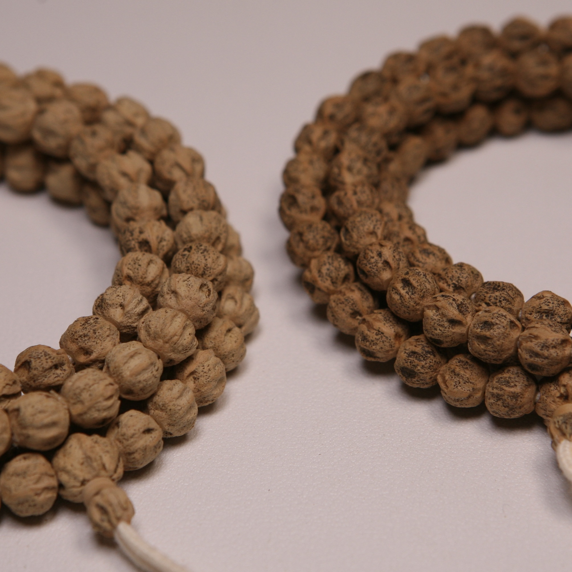 【炽尘·达摩蛋】定制级热振寺红油皮原桩鬼脸柏香籽