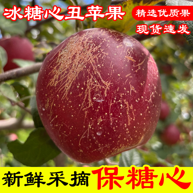 正宗云南高原冰糖心丑苹果现摘现发脆甜嘎嘣脆5斤/9斤