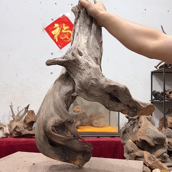 柏木境*我们都是好孩子呀我也