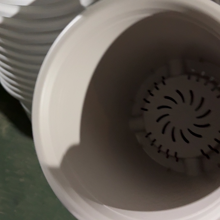 四季8号灰白无托5个特价微瑕