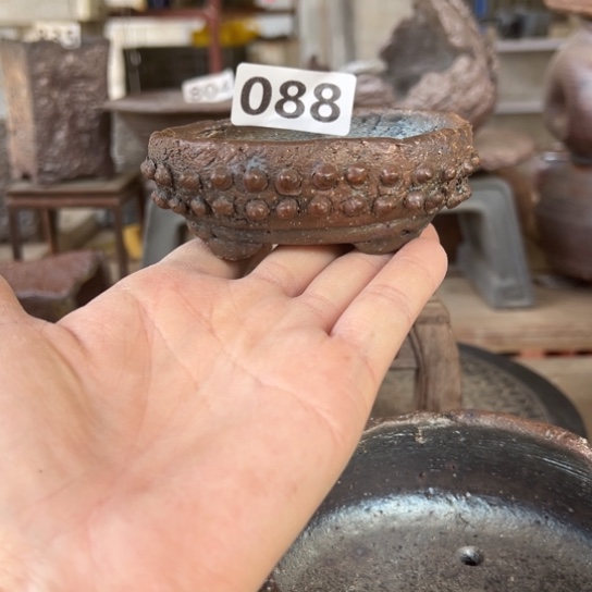 红陶8x6x2.5/088////