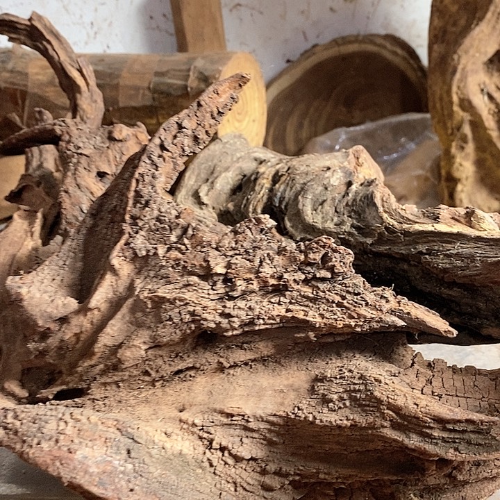 黄花梨/降香黄檀施*