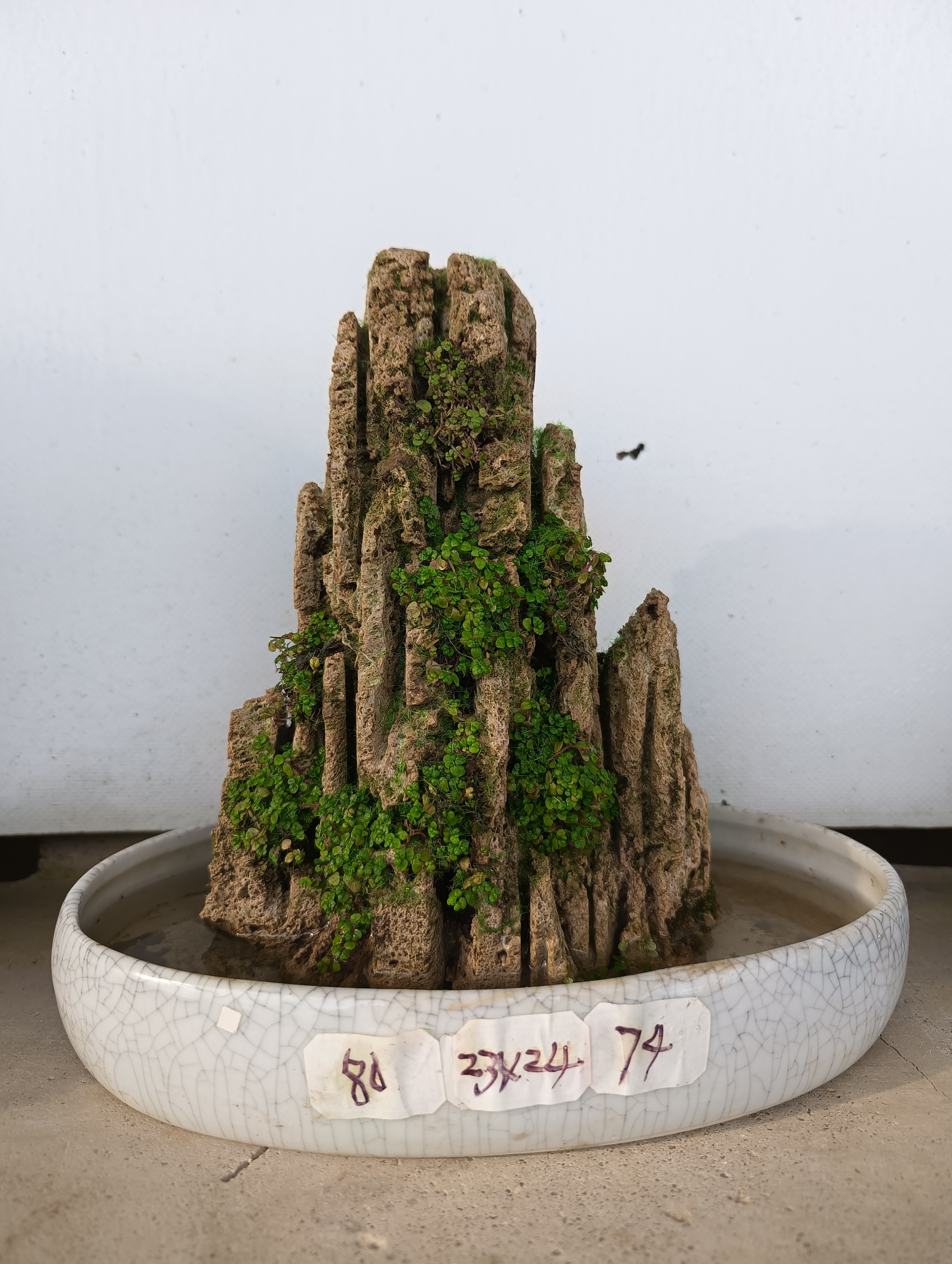 高23长24，吸水石绿植盆景。