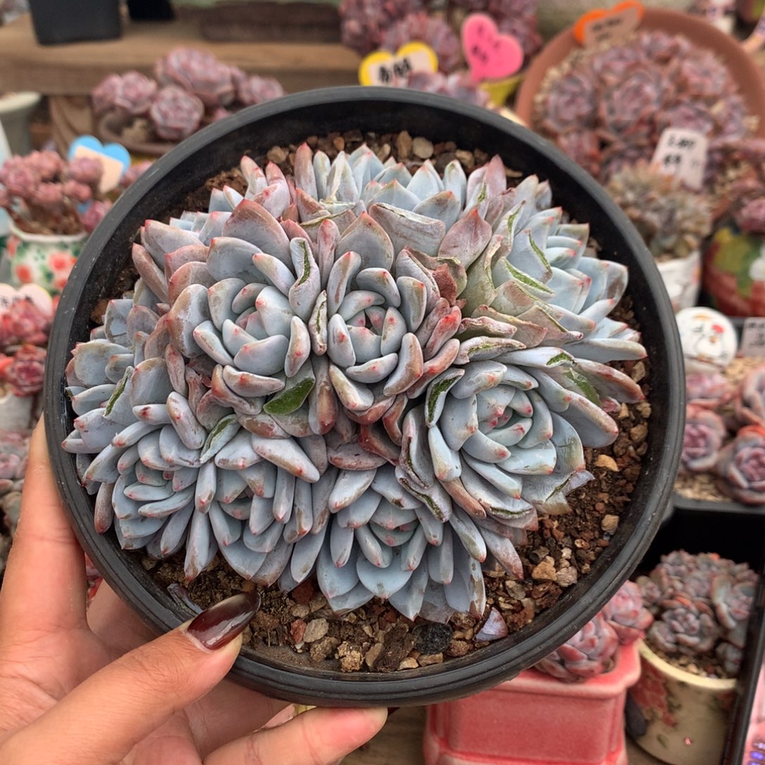 哈哈哈哈哈哈哈哈2